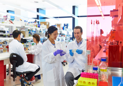Four researchers engaging in a laboratory