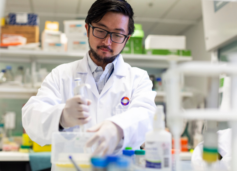 Cell reprogramming to restore sight